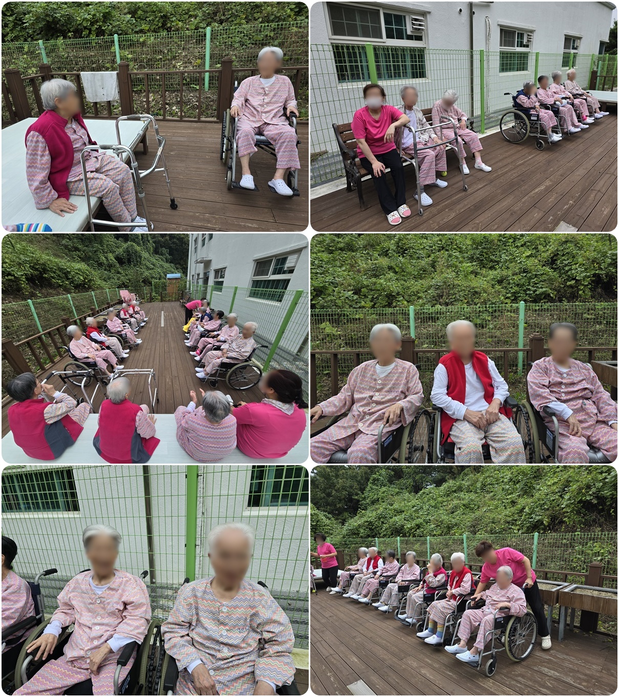 20241018_135836-tile.jpg